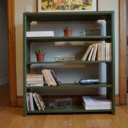 Smoker’s Rescue Bookcase